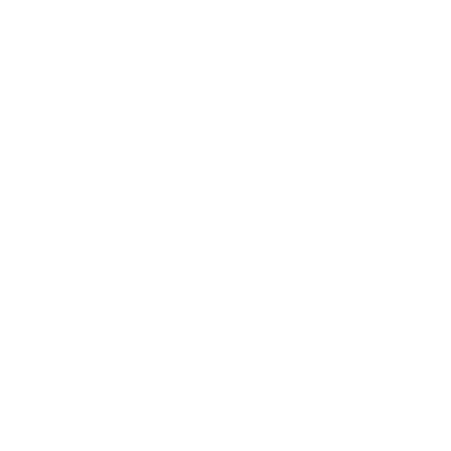 Project Discovery Logo